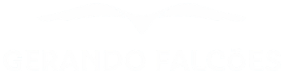 Gerando Falcões